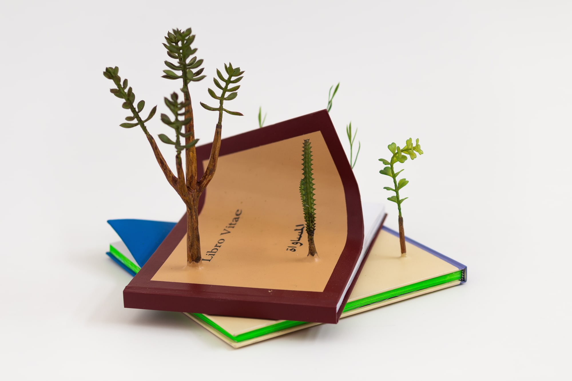 Camille Kachani, Sem título, 2020