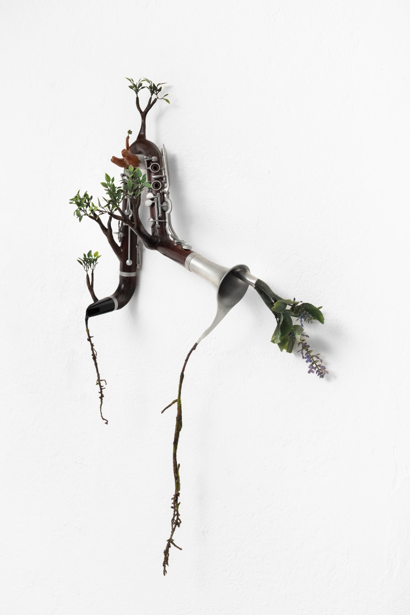 Camille Kachani, Trompete indolente, 2022