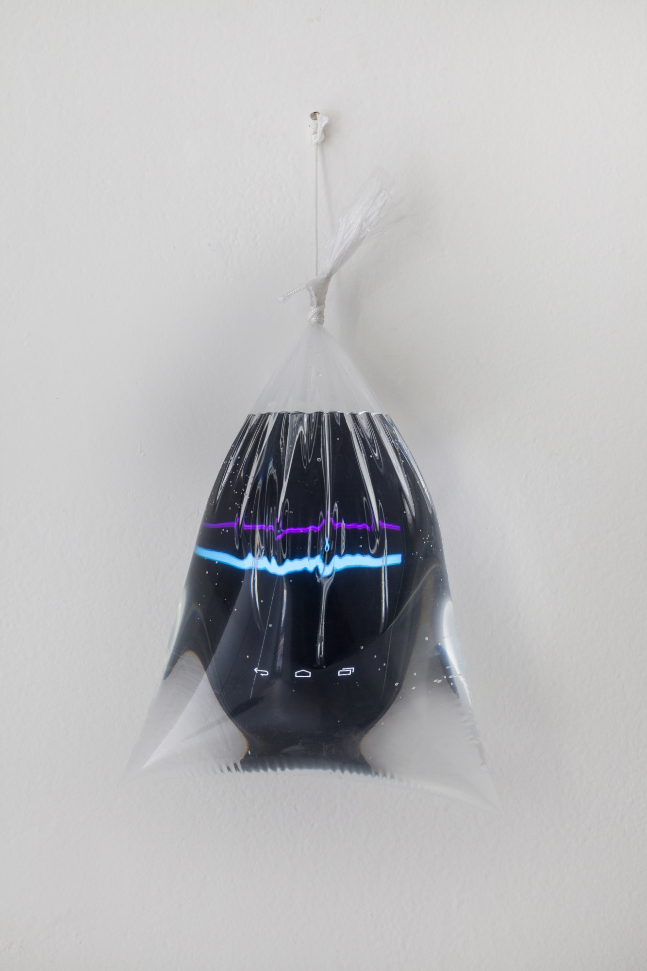 Felipe Seixas, Ascendência, 2017