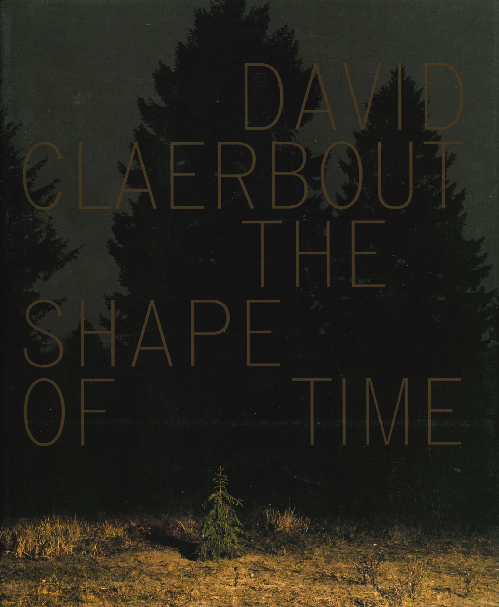 David Claerbout The Shape of Time