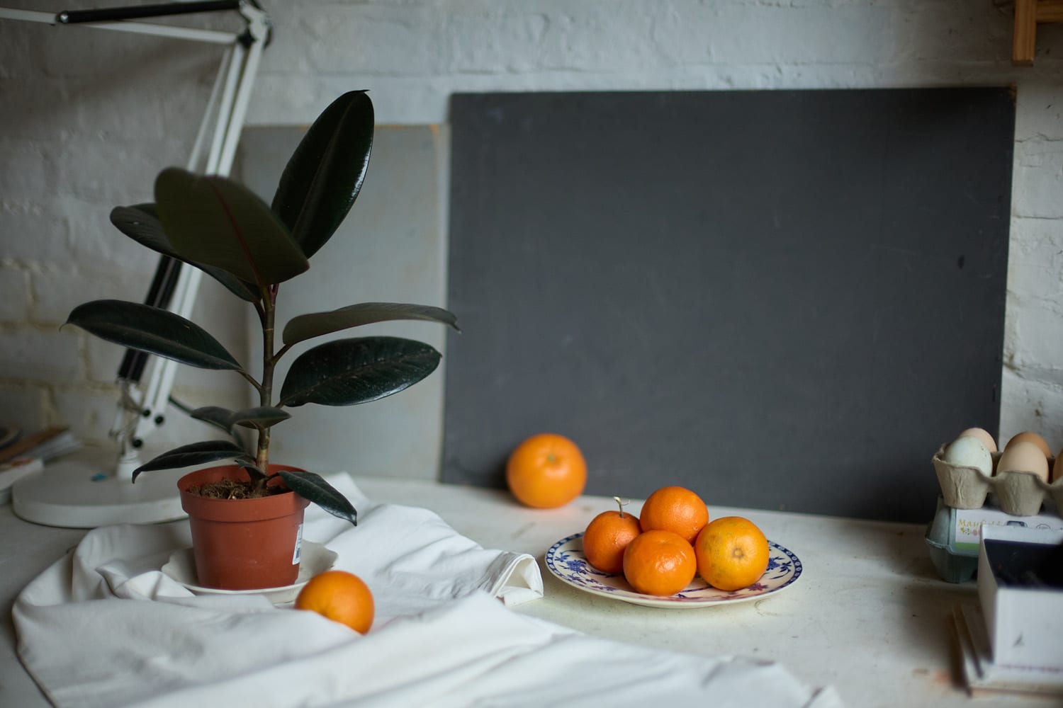 Continuum | 20th Anniversary Exhibition