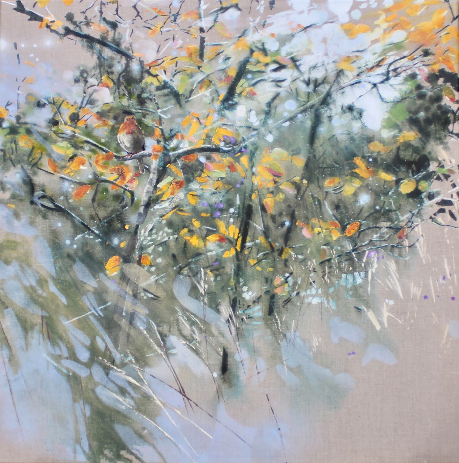 James Fotheringhame, Robin, Amelanchier, 2021