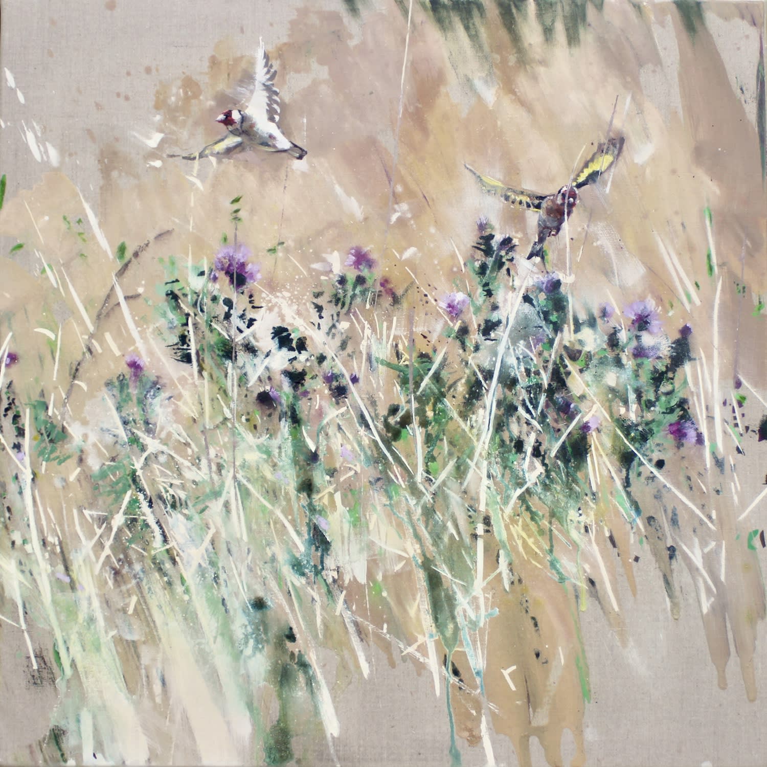 James Fotheringhame, Goldfinches, Thistle, 2021