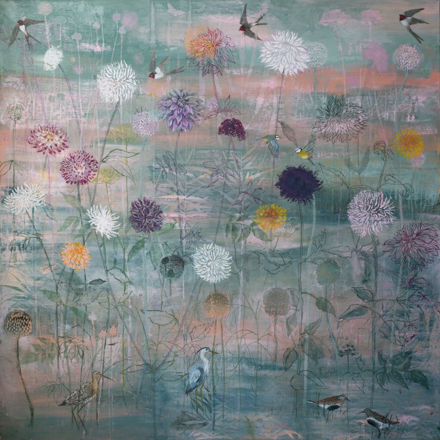 Dawn Stacey, Abundant Dahlias