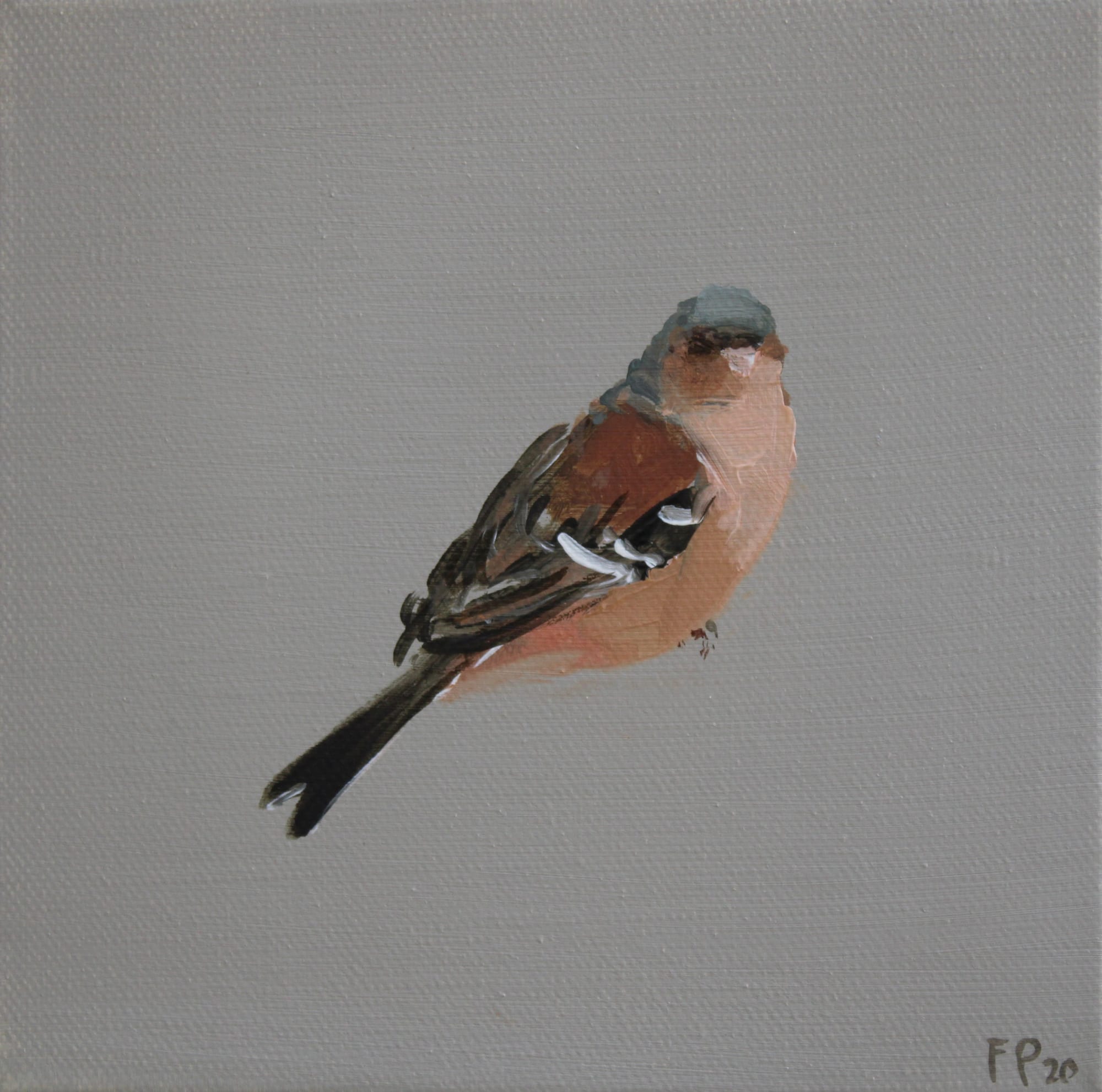 Fletcher Prentice oil painting on canvas of a Chaffinch against a dusky grey background.