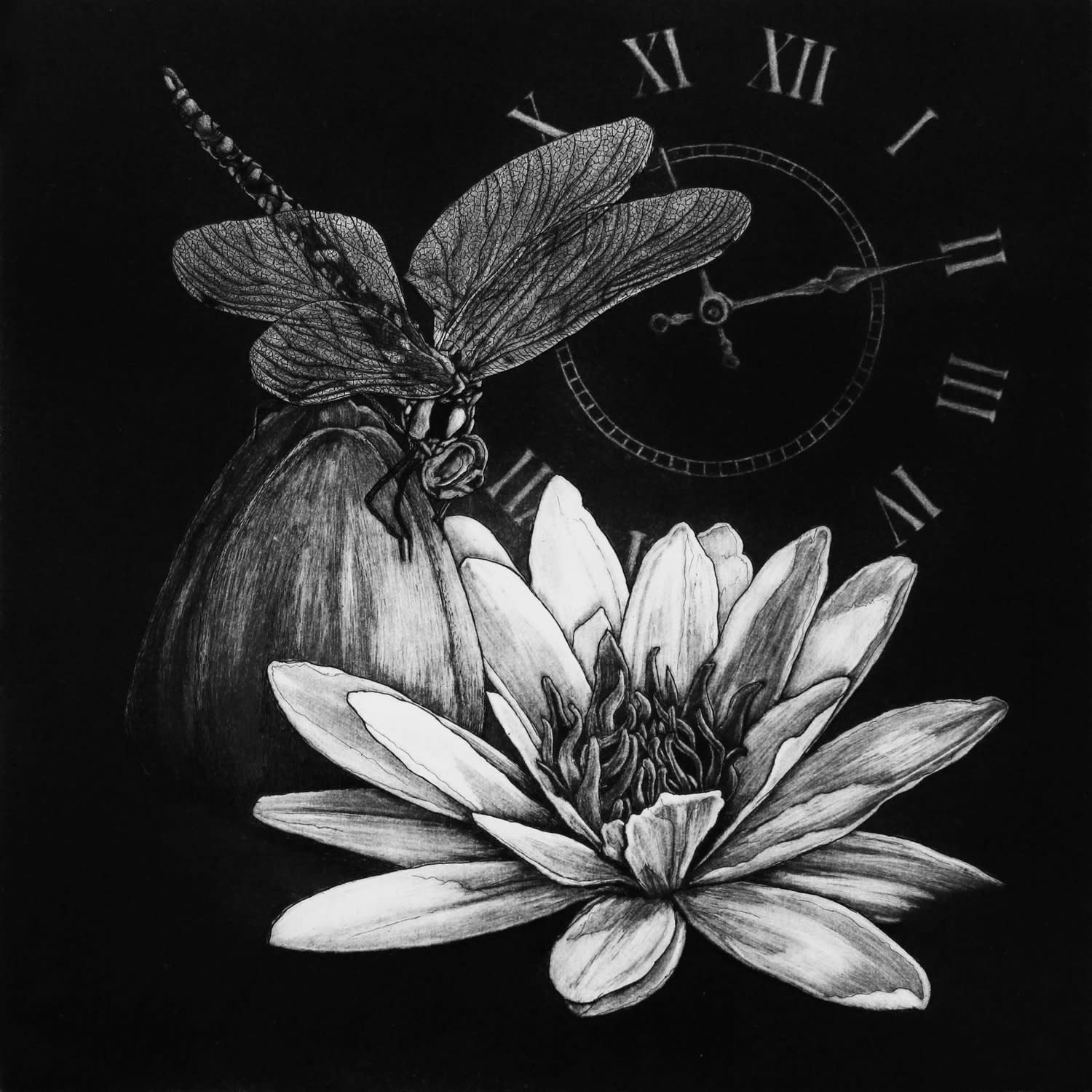 Ade Adesina, Daybreak