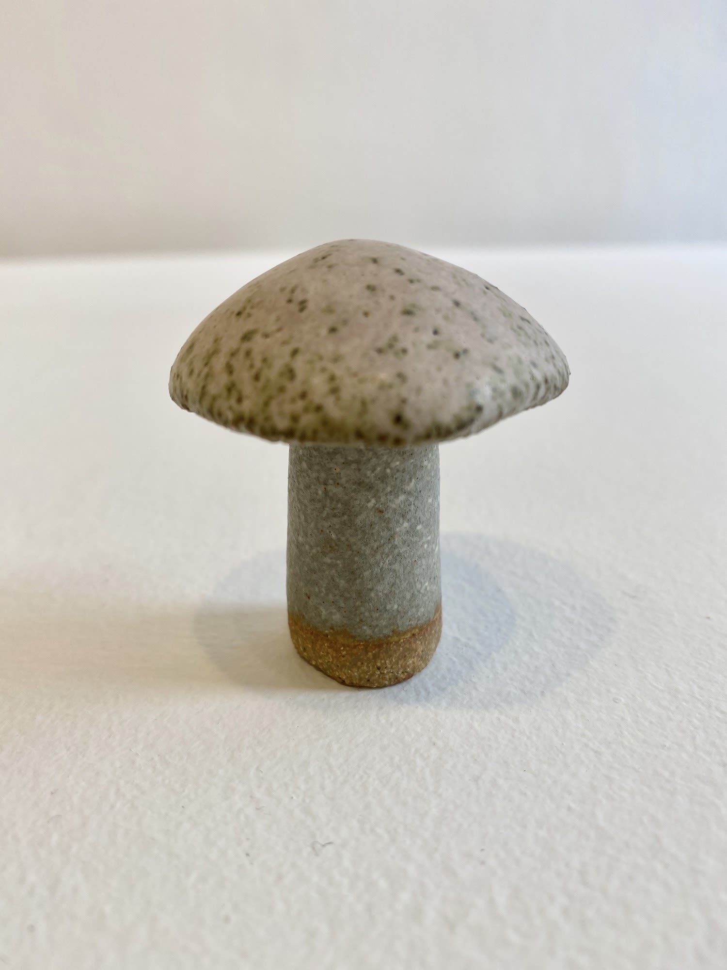 Jane Muir, Mushroom, Small 5, 2020