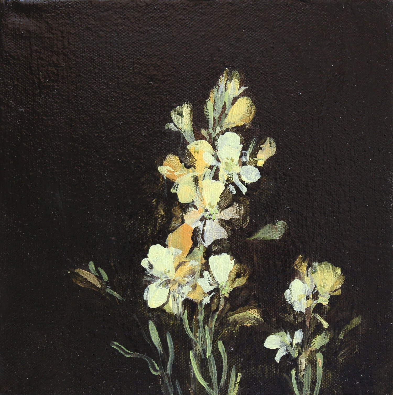 Fletcher Prentice, Wallflower Study, One, 2020