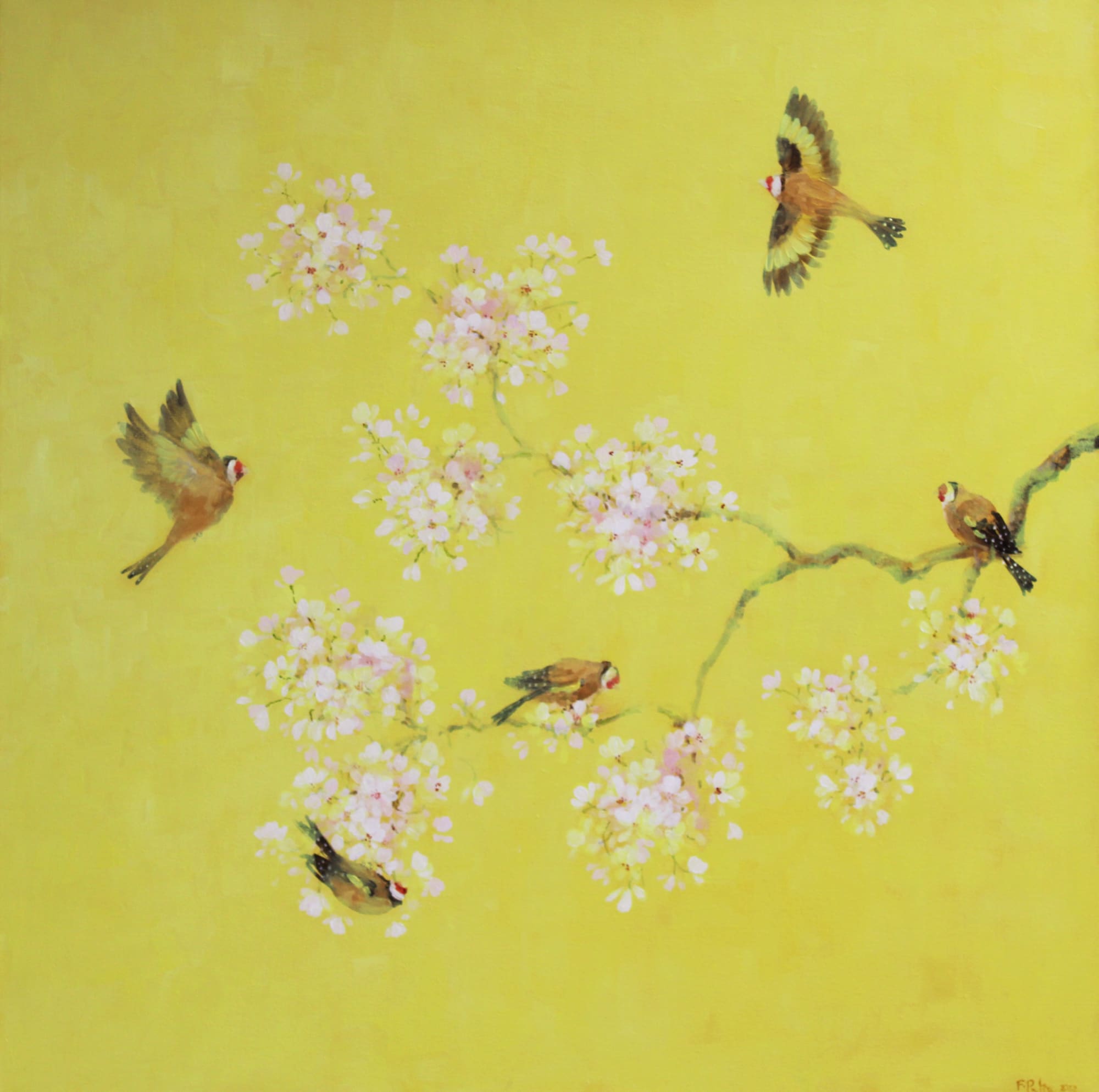 Fletcher Prentice oil painting on canvas of 5 Goldfinches with a branch of Cherry Blossom against a bright yellow background.