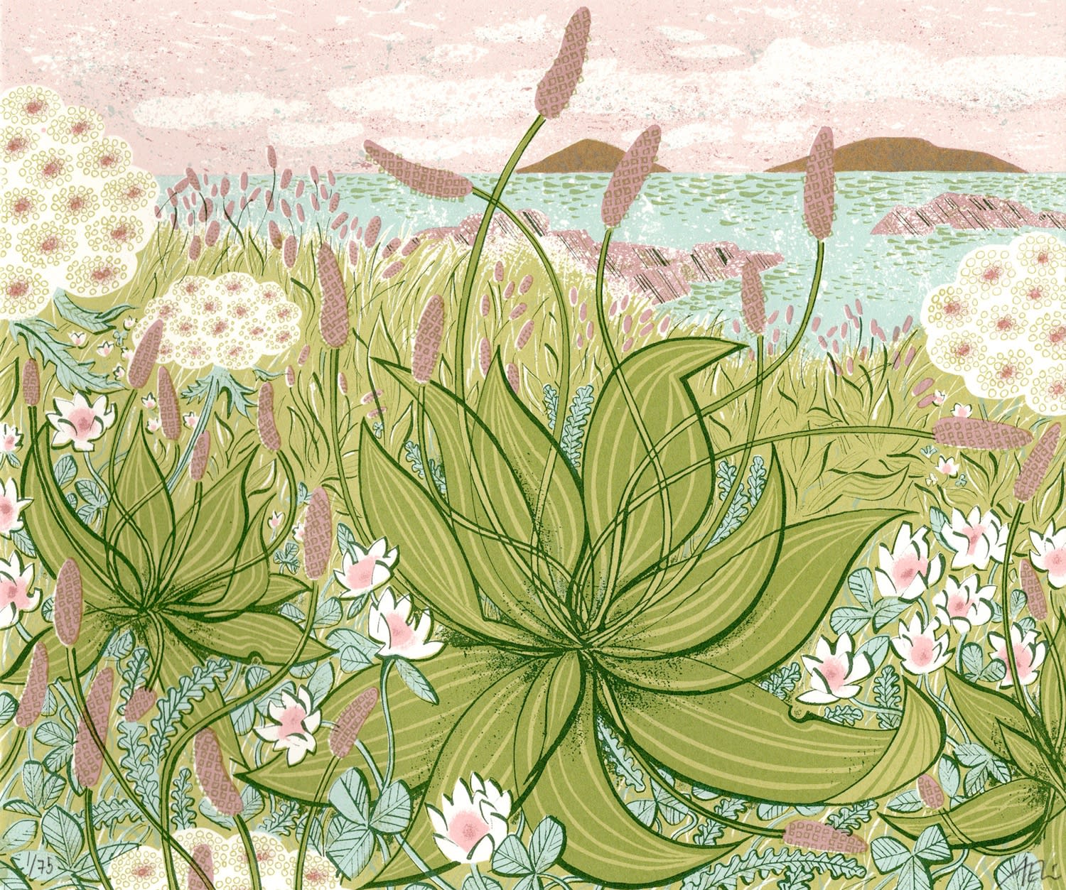 Angie Lewin screenprint in pale pinks and greens of plantain growing on a shoreline