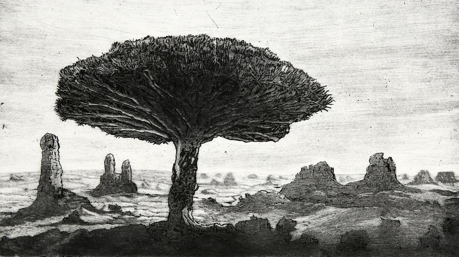 Ade Adesina, The Long Walk II