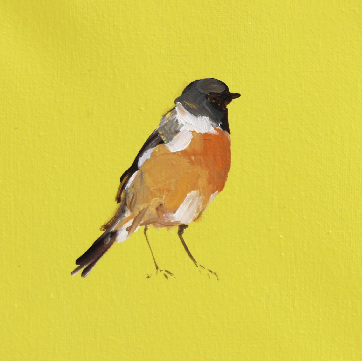 Fletcher Prentice, Stonechat, 2020