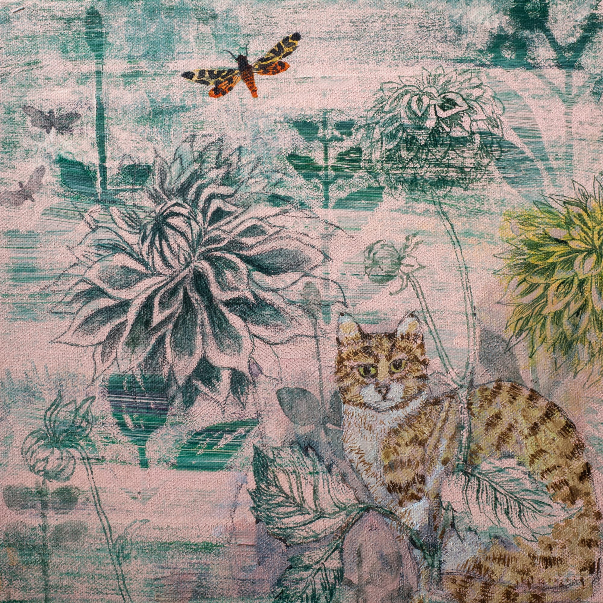 Dawn Stacey floral landscape with a dusky pink background, showing deep turquoise silhouettes of various flora, a ginger striped cat sits facing the viewer while a yellow and orange moth with leopard print markings flutters above.