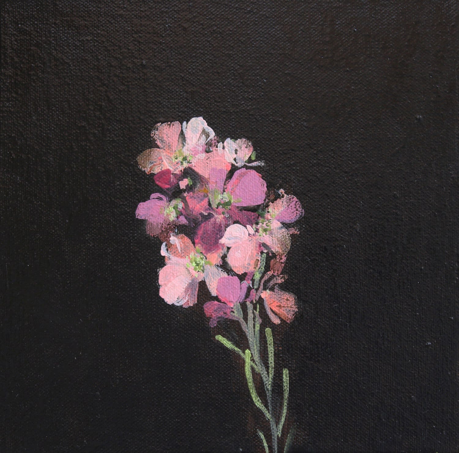 Fletcher Prentice, Wallflower Study, Two, 2020