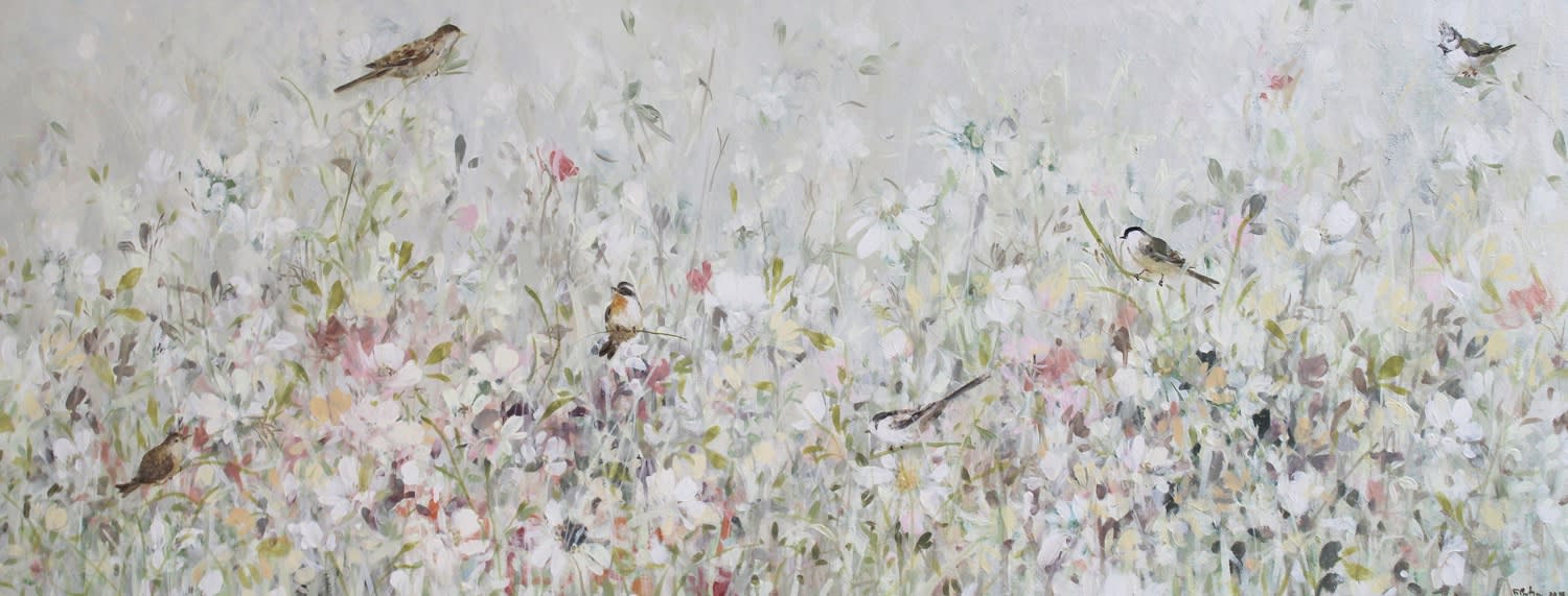 Fletcher Prentice, White Echinacea, 2020