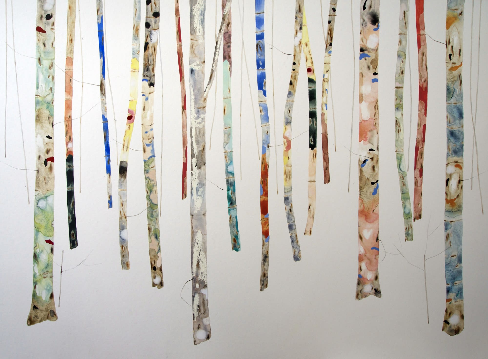 Kate Evans, Kaleidoscope Forest