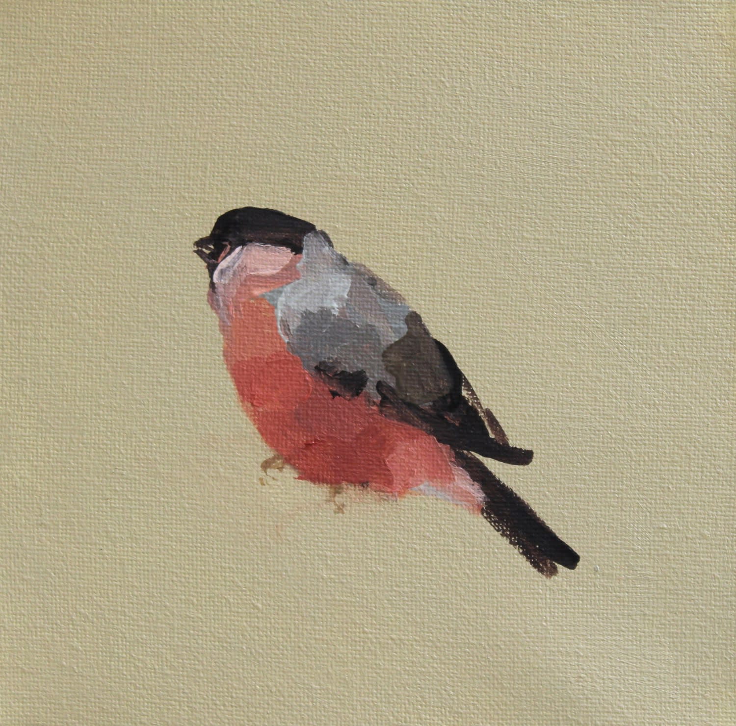 Fletcher Prentice, Bullfinch, 2020