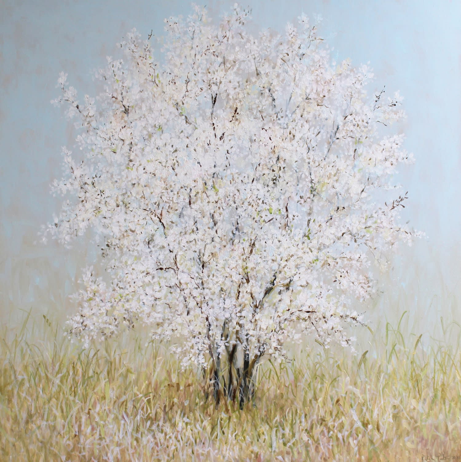 Fletcher Prentice, White Blossom, 2020