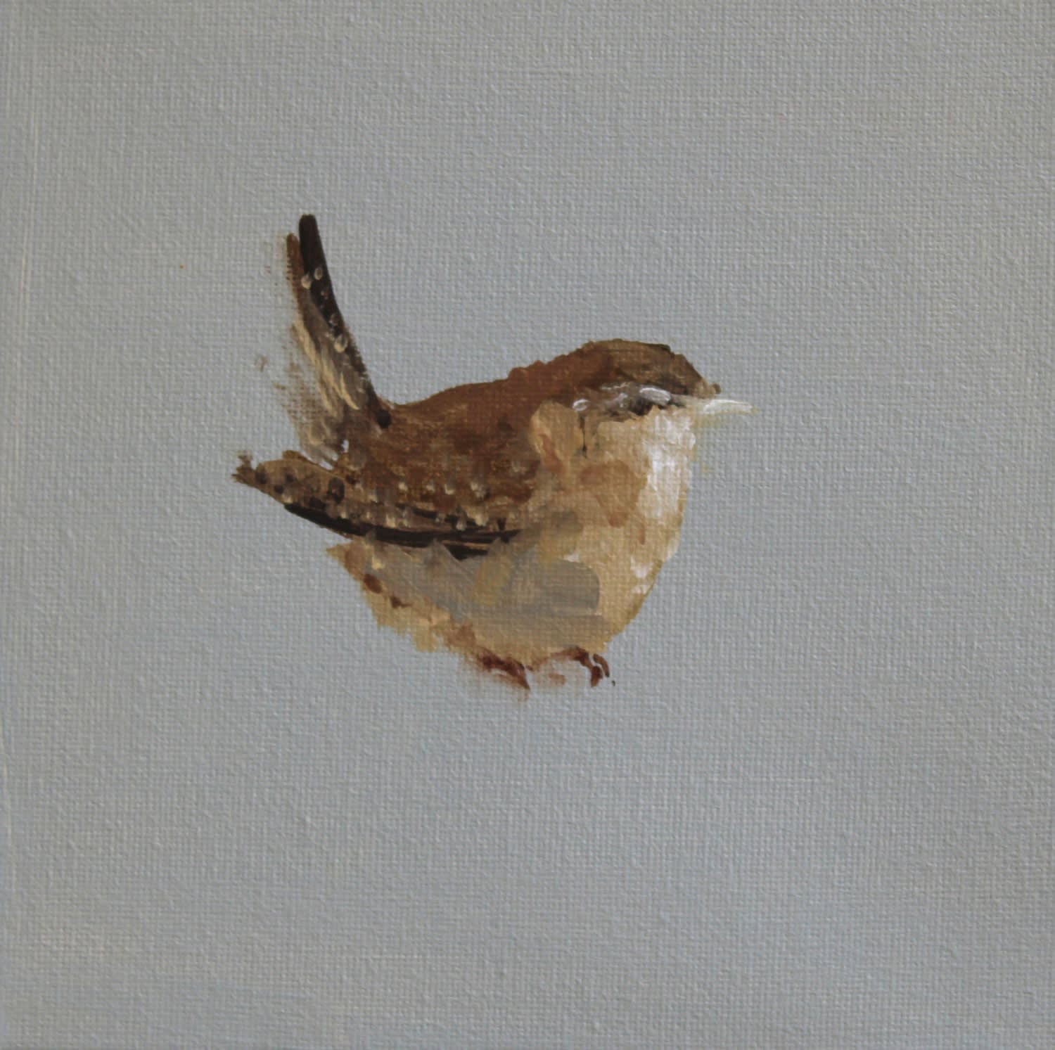 Fletcher Prentice, Wren Study, 2020