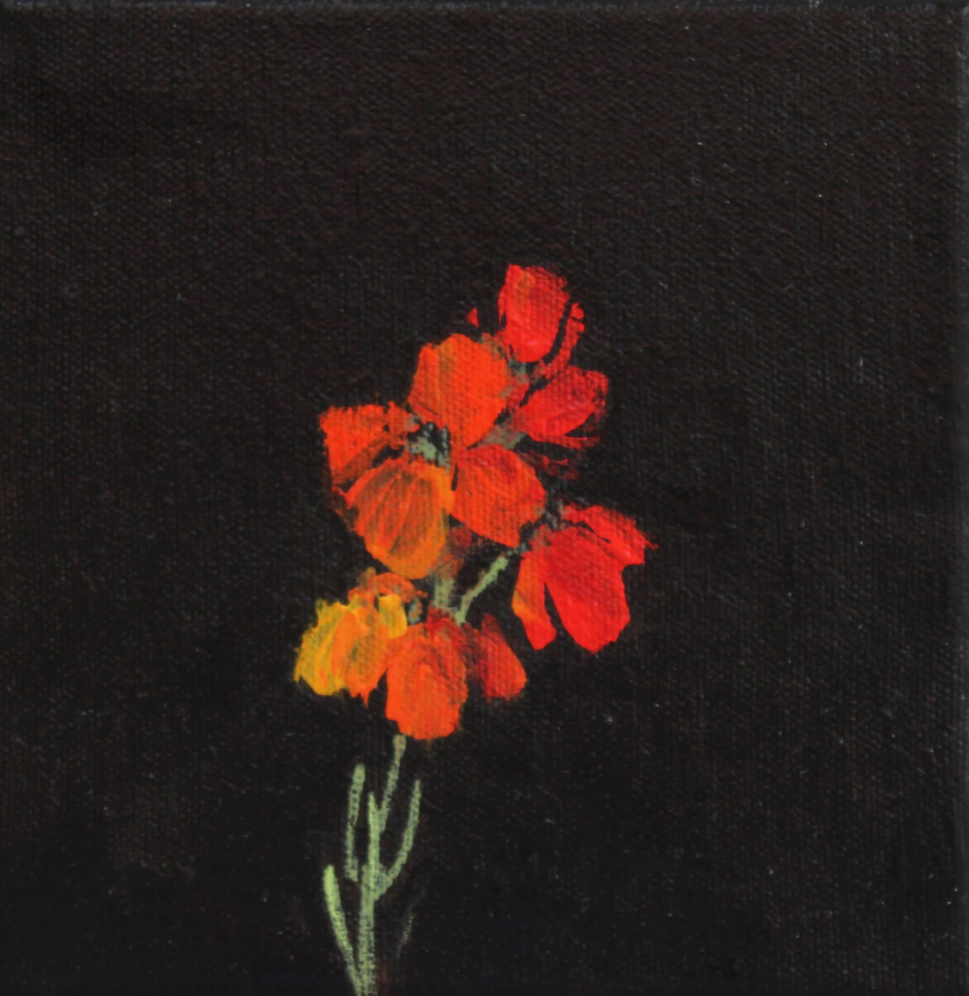 Fletcher Prentice, Wallflower Study, Five, 2020