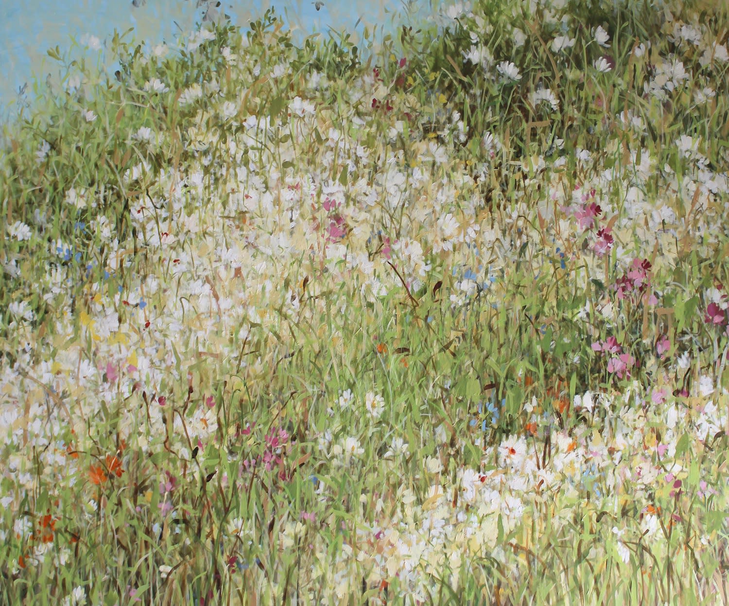 Fletcher Prentice, Meadow Garden , 2020