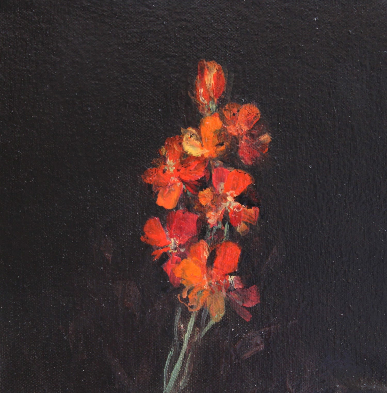 Fletcher Prentice, Wallflower Study, Four, 2020