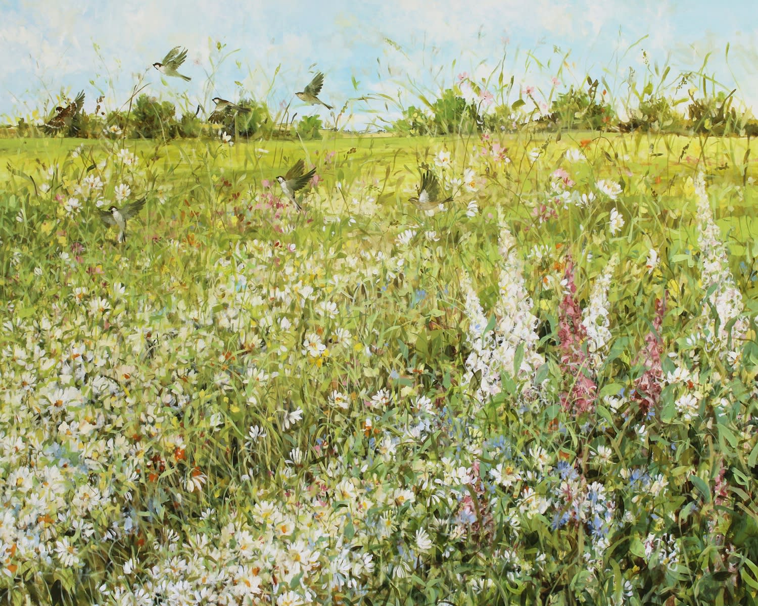 Fletcher Prentice, Summer Meadow, 2020