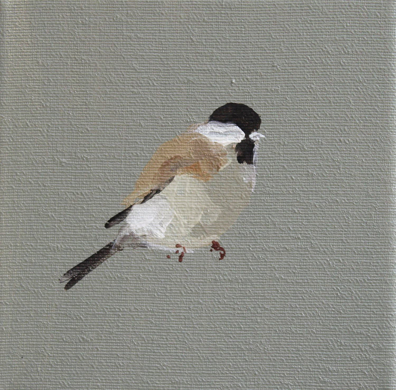 Fletcher Prentice, Black Cap, 2020