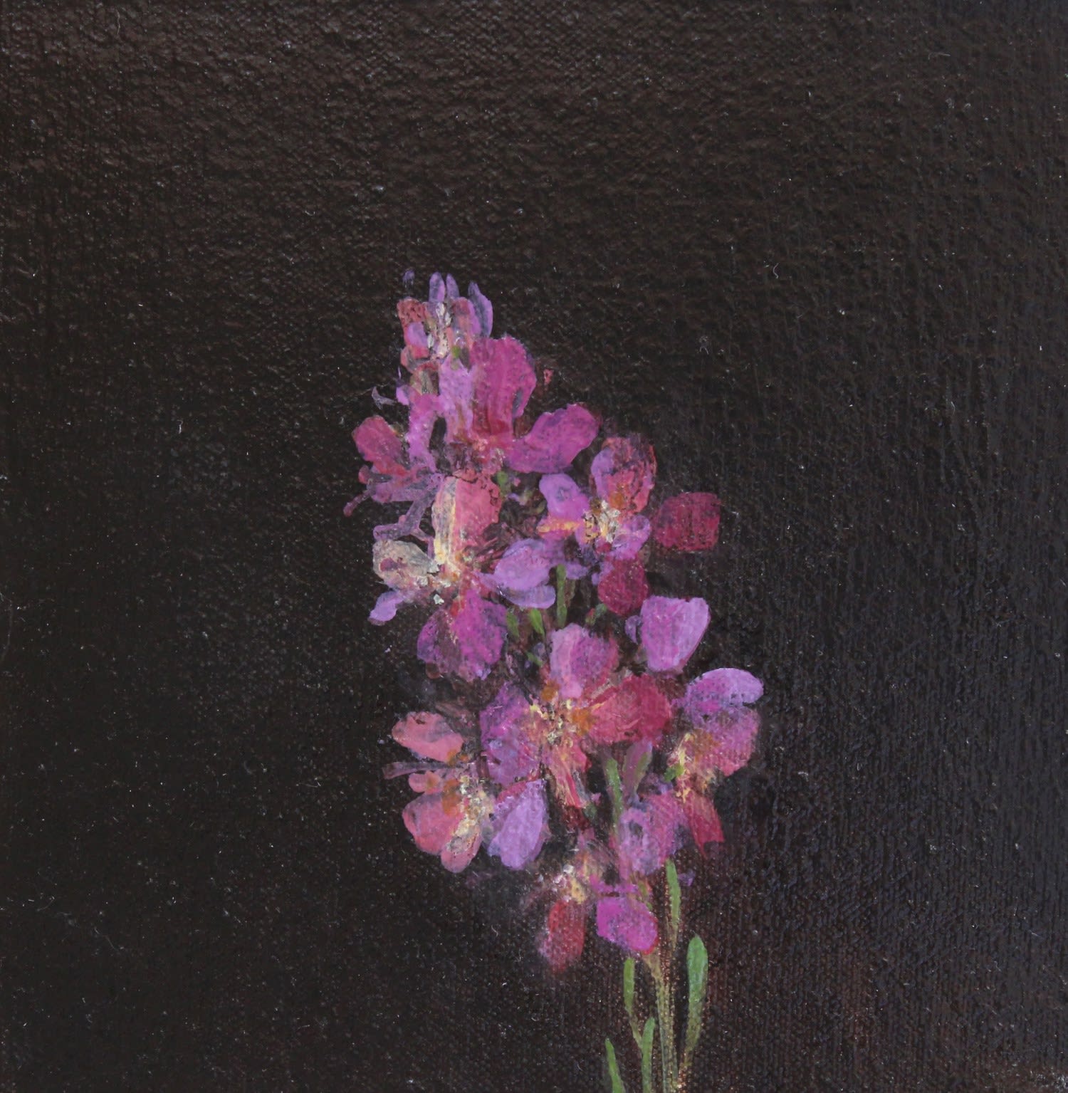Fletcher Prentice, Wallflower Study, Three, 2020