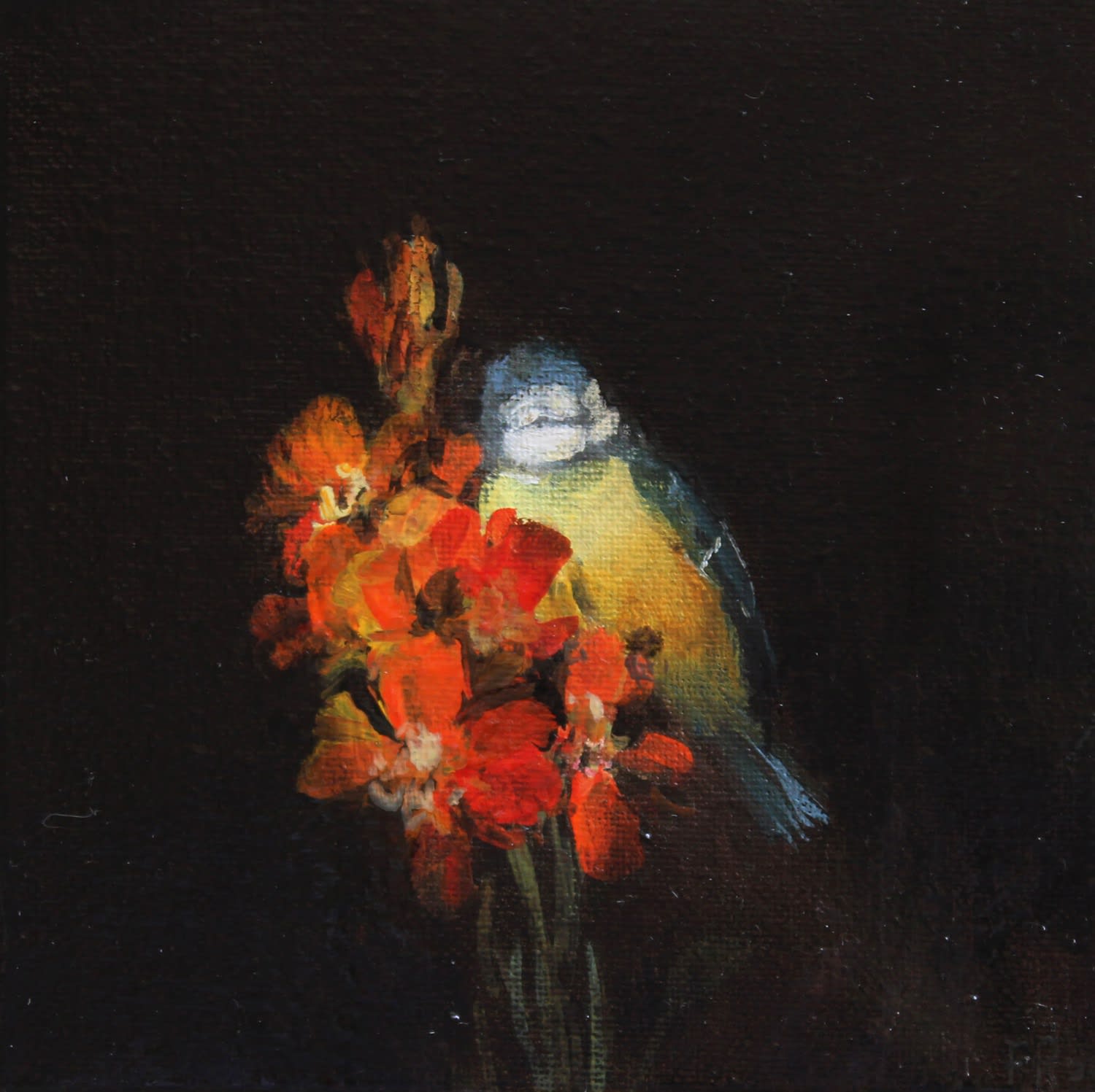 Fletcher Prentice, Wallflower Study, Six, 2020