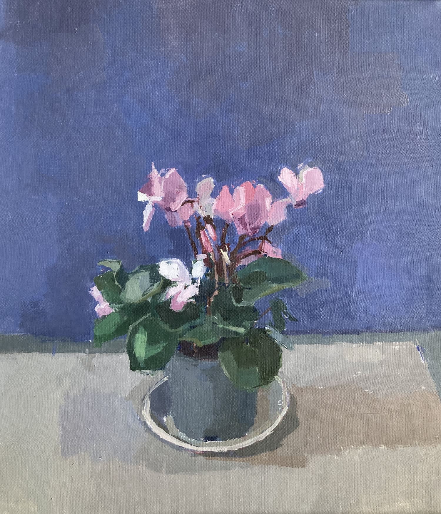 Sarah Spackman figurative still life painting of a potted cyclamen flower with pale pink petals, beneath it a small white dish. The background wall is painted in deep violet tones while the surface is pale grey.