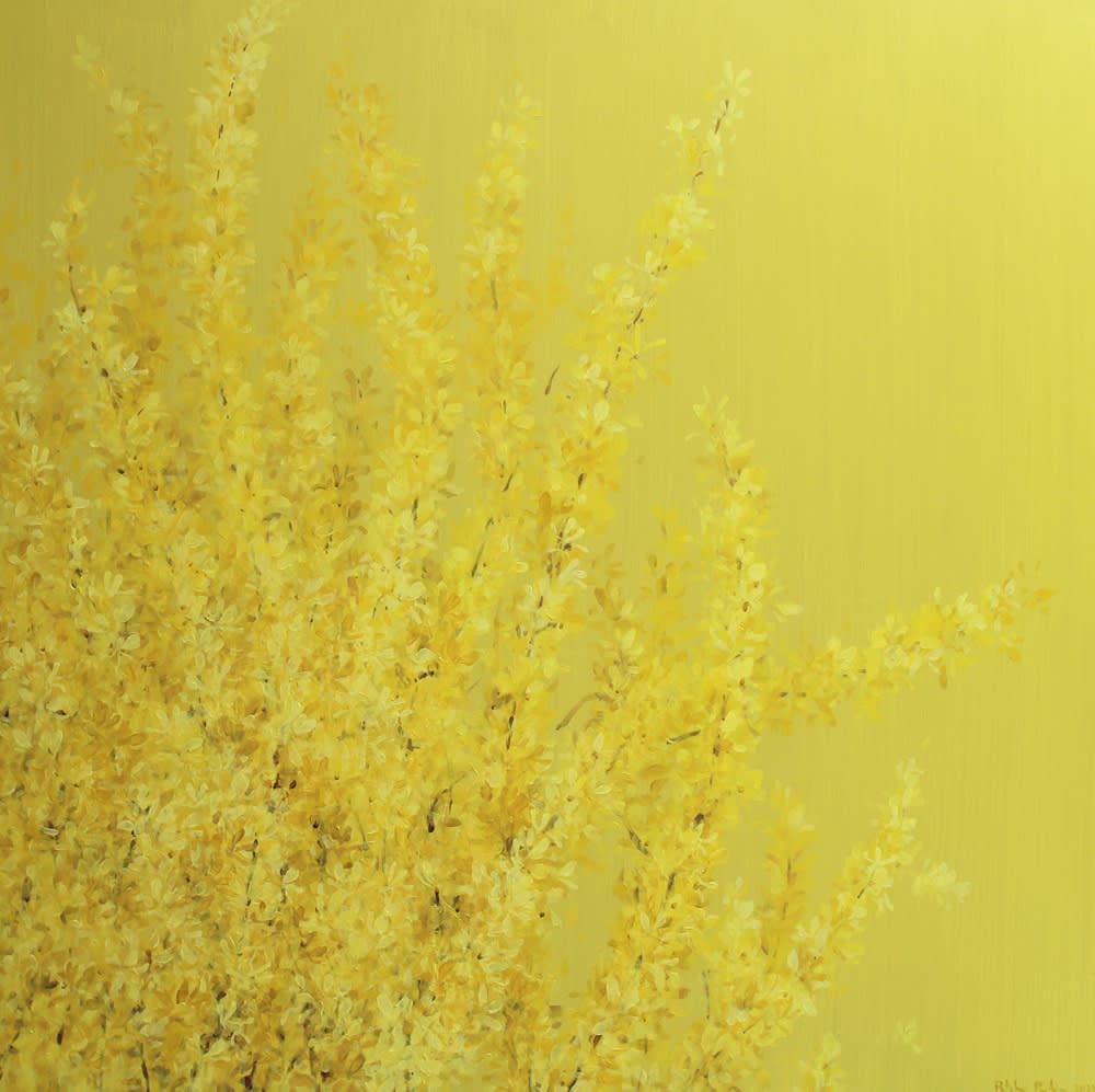 A vibrant painting by Fletcher Prentice of flowering yellow forsythia in the foreground against a bright yellow background.