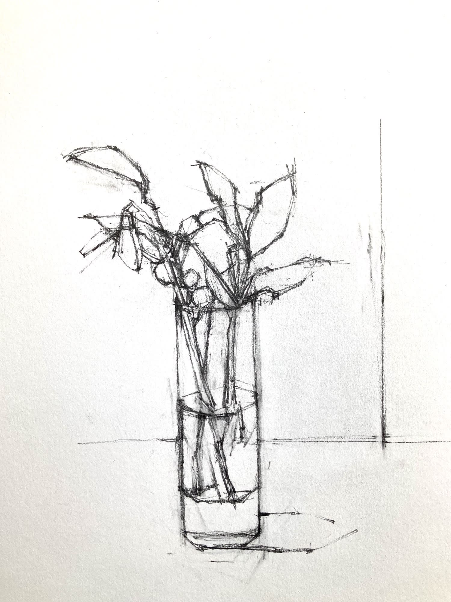 Sarah Spackman still life pencil sketch in black and white of an assortment of plants resting in a tall glass of water.