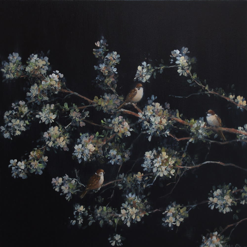 A branch with white blossom with a variety of birds perching on it, depicted against a rich, dark background.