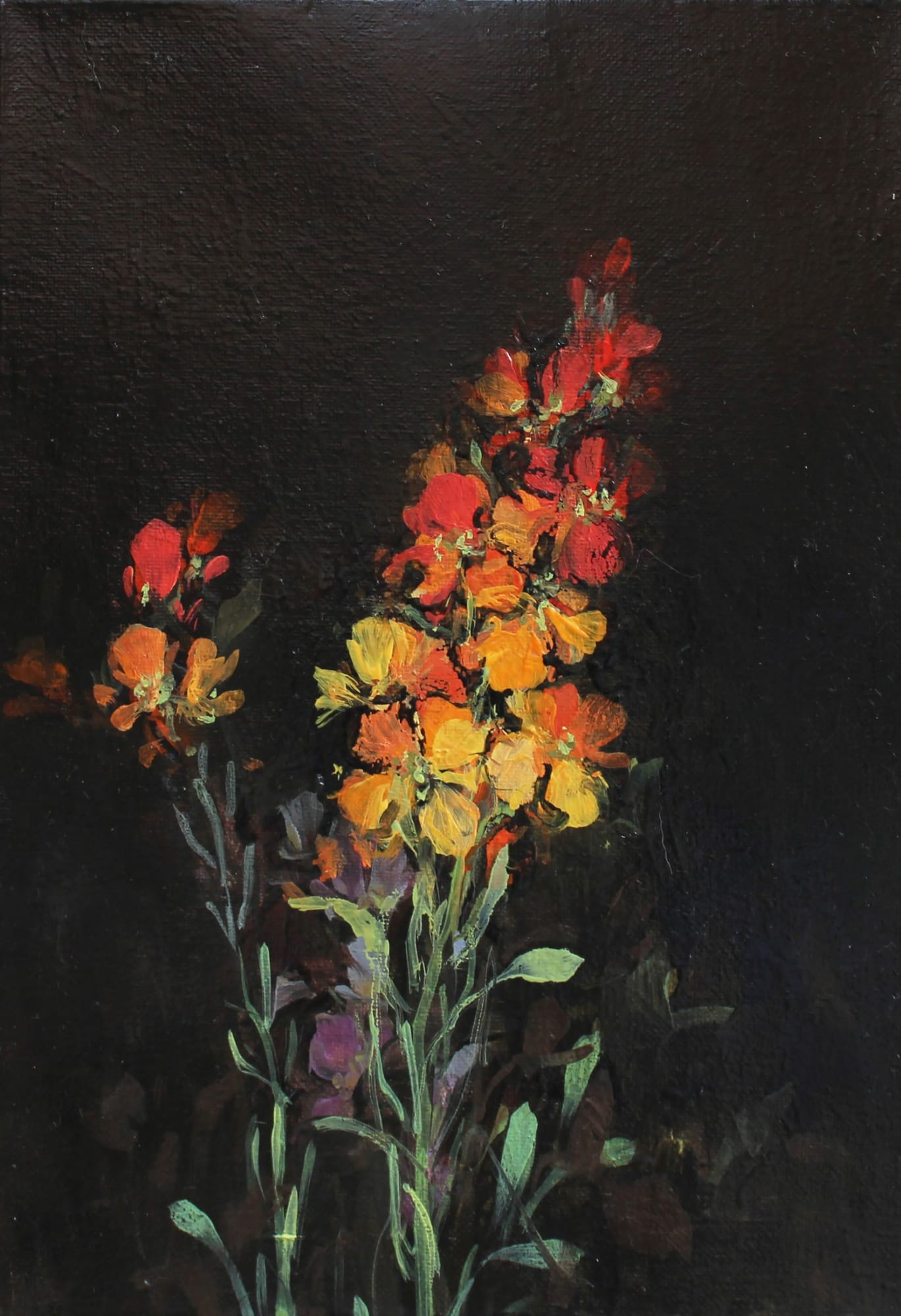 Fletcher Prentice, Wallflower Study, 2020