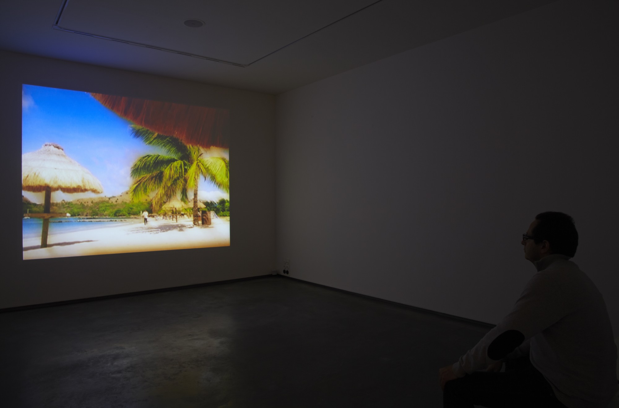 Language Games An Introduction To The Art Of Our Times Isaac Julien