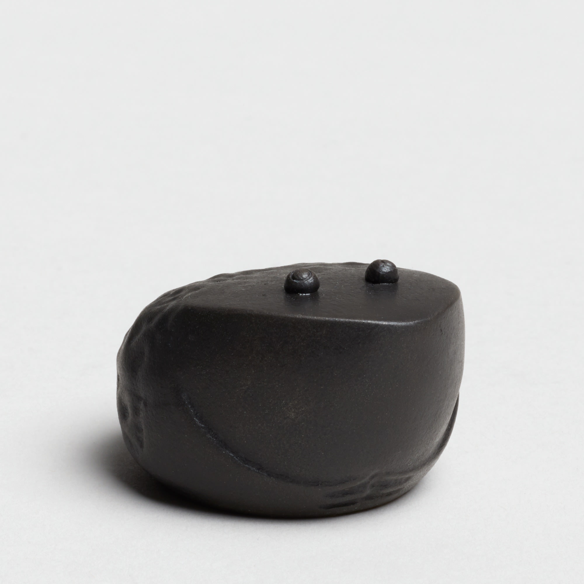 Andreas Caderas. Frösche, #022121 Frosch, 2019