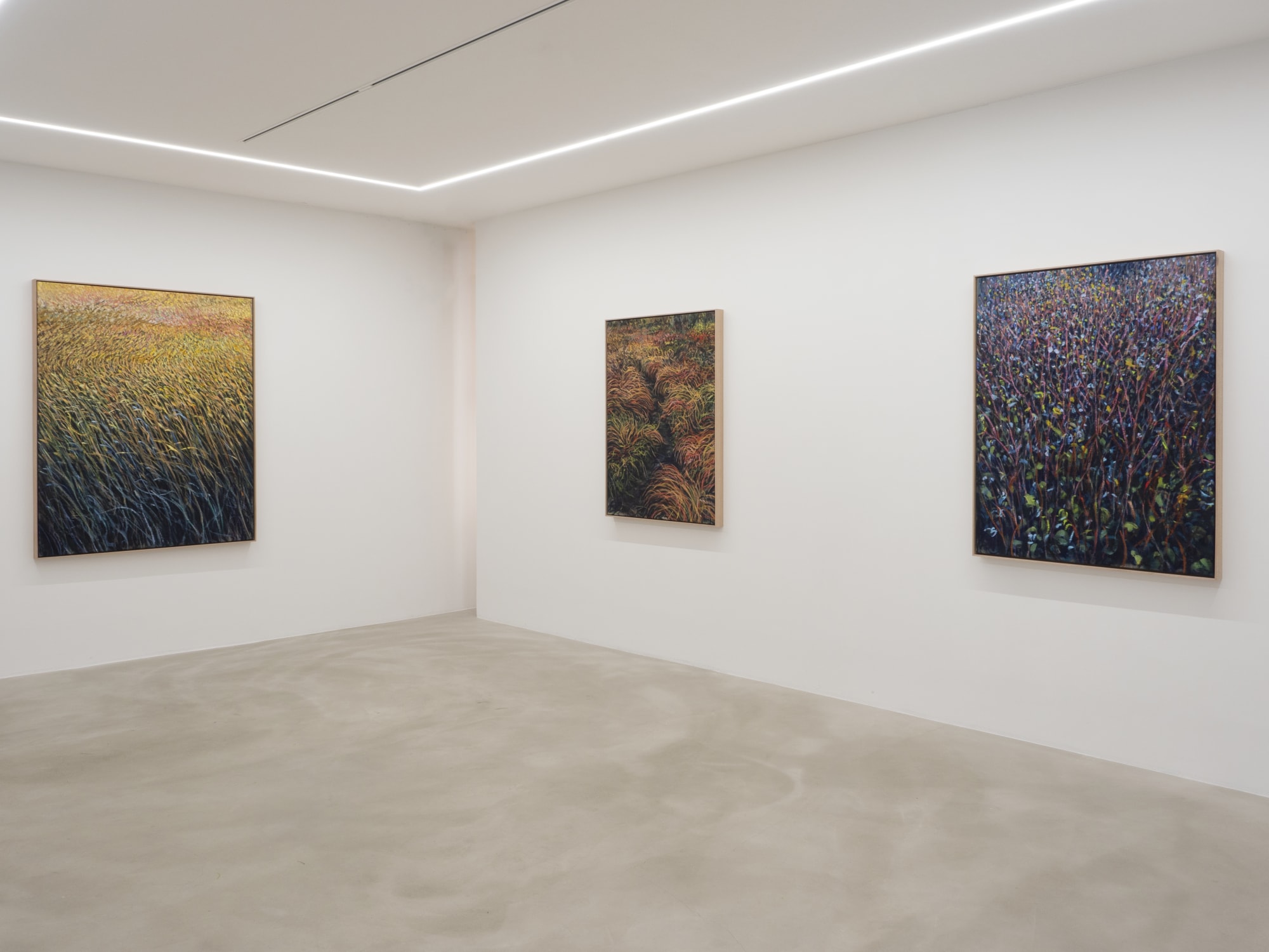 EEMIL KARILA | WASTELAND 29.4.-30.5.2021