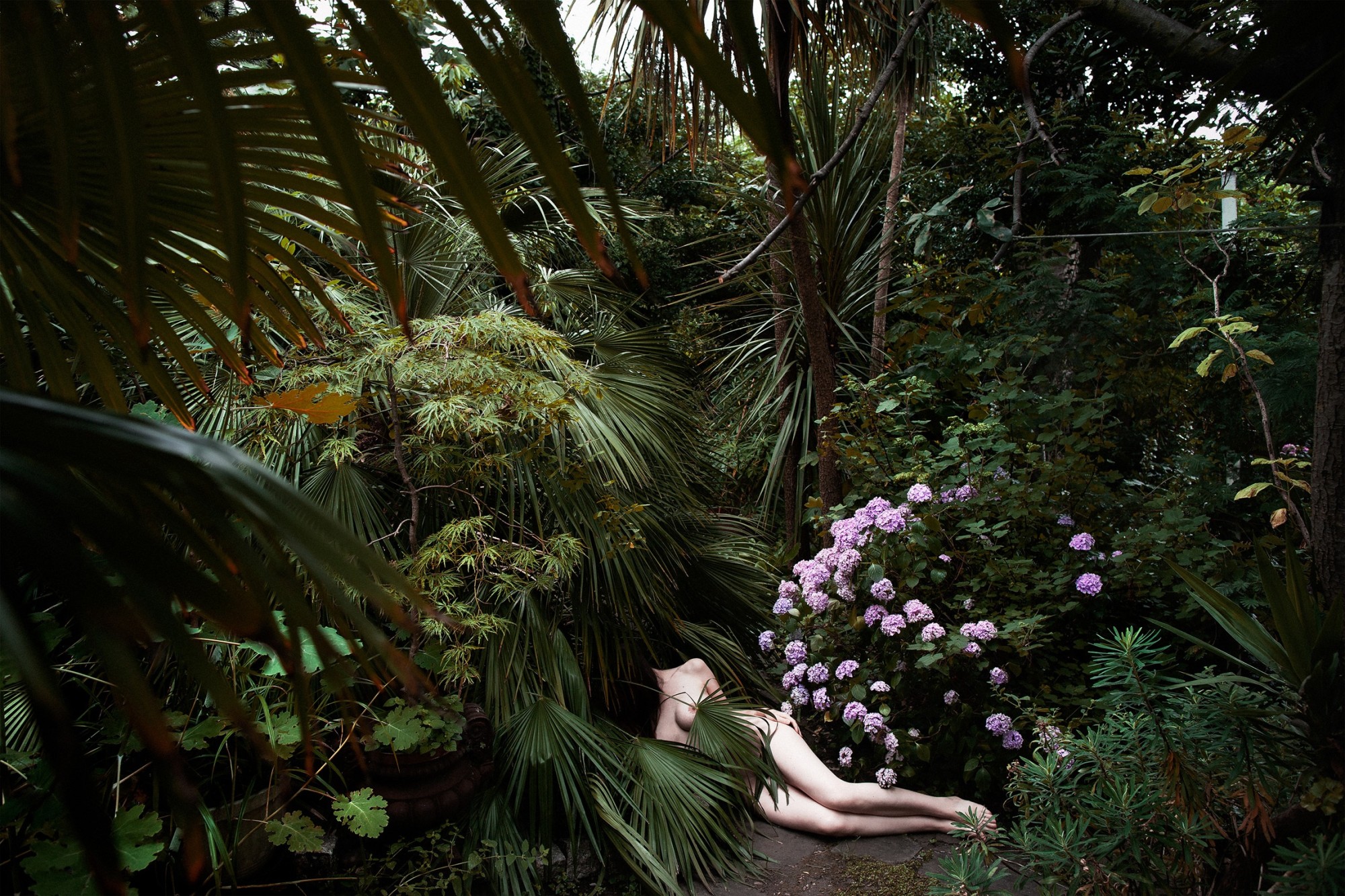 Polly Penrose, Kay’s Garden, Hackney, July 2016