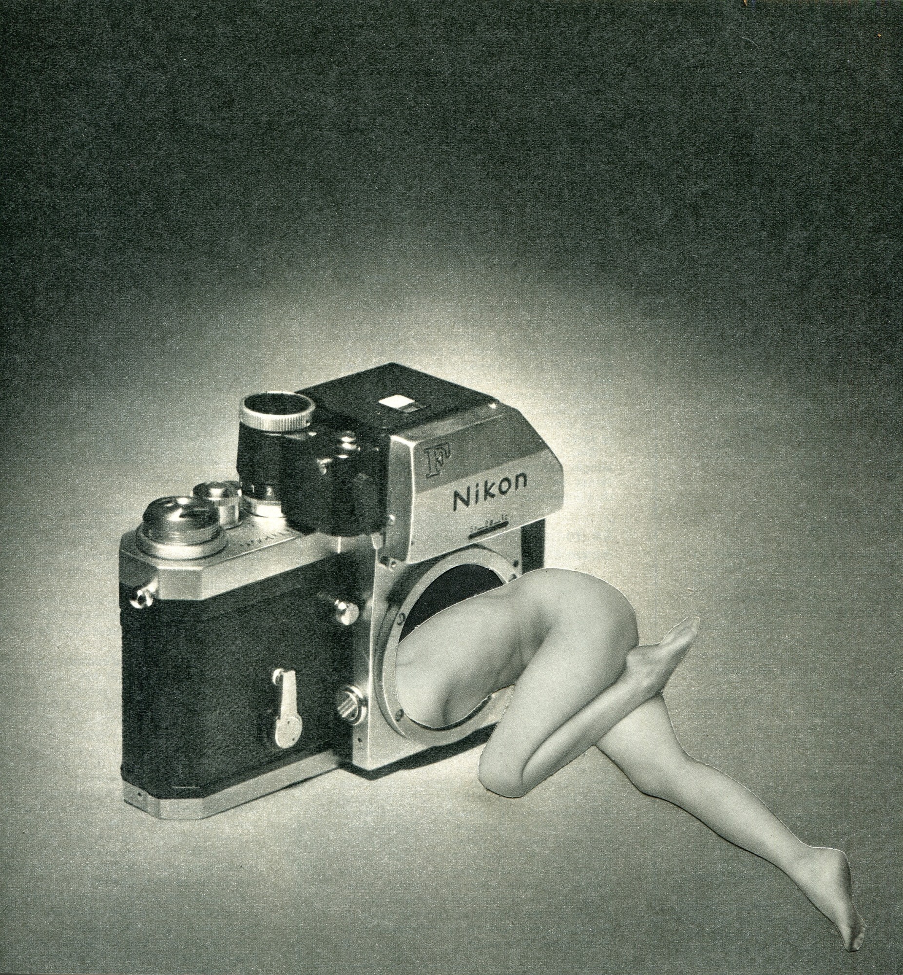 Sammy Slabbinck, Camerashy