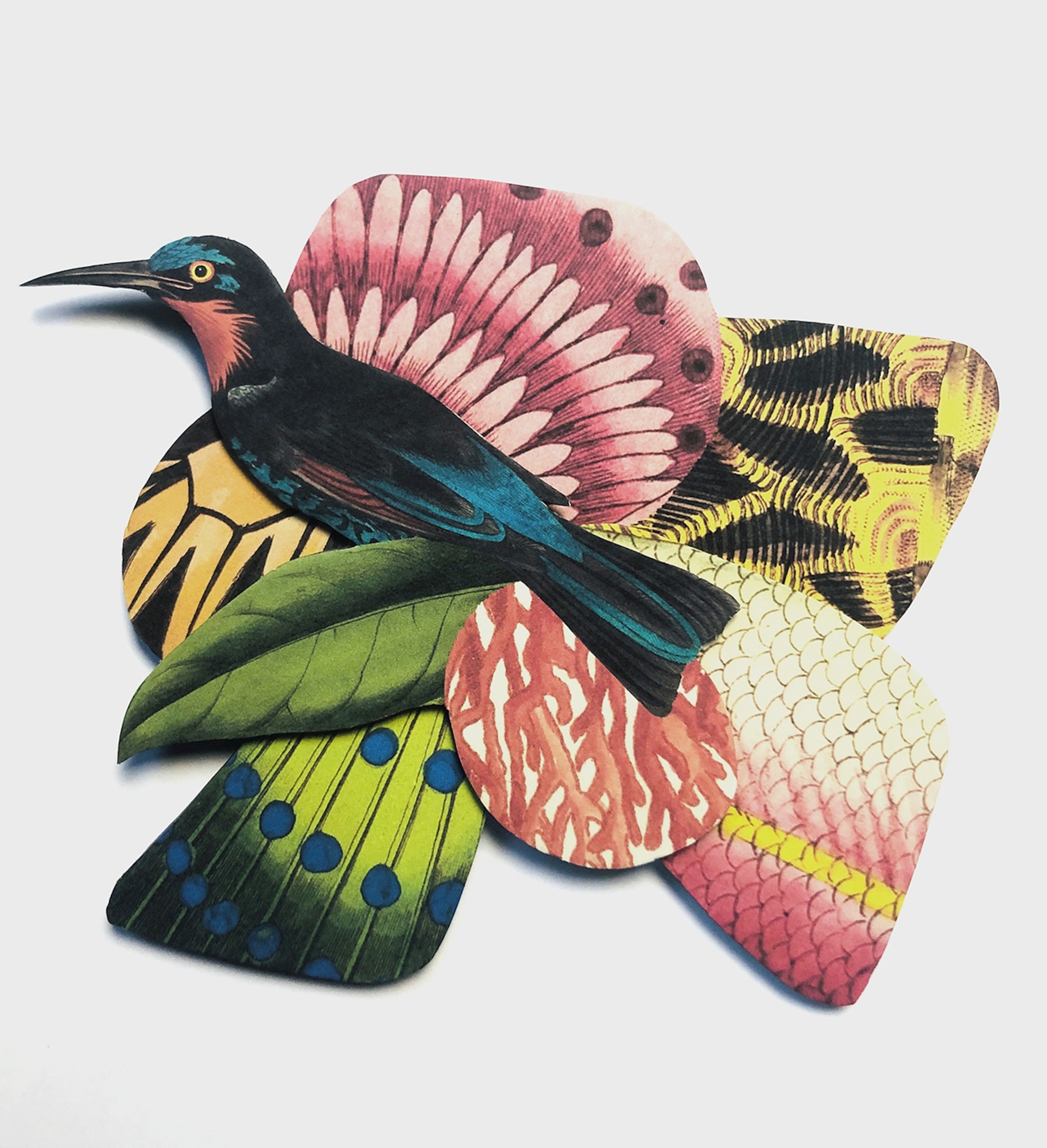 Sammy Slabbinck, Bird 1, 2019