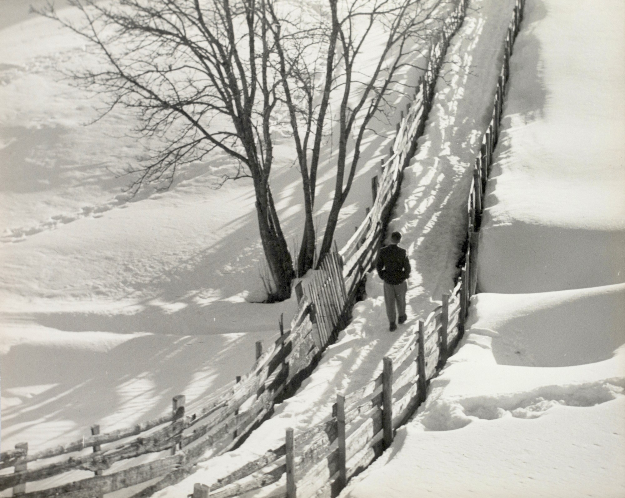 George Bunzl, Untitled, c. 1930