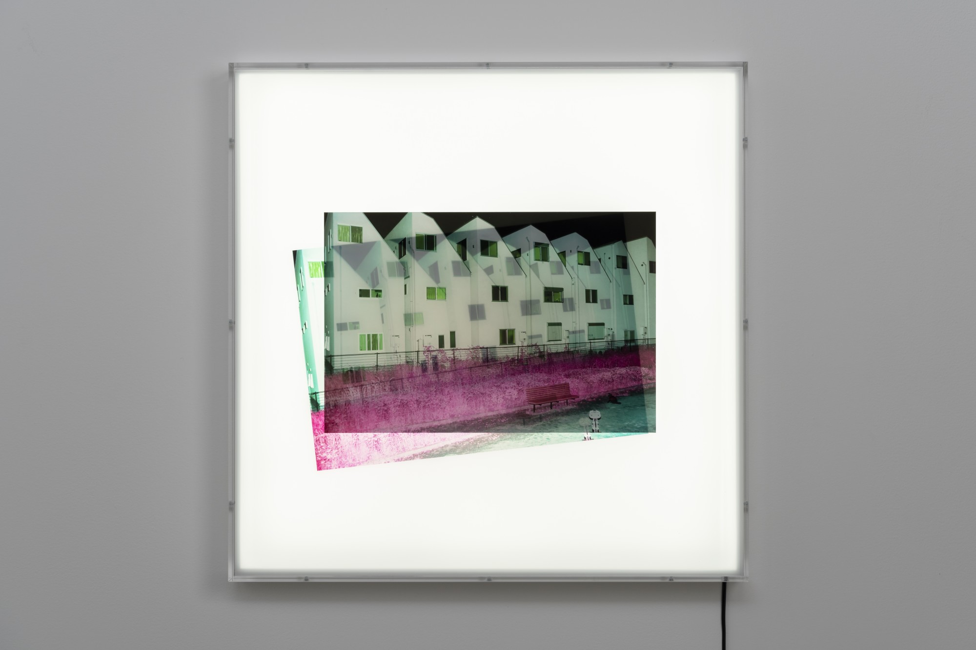 Yusuke Yamatani, Into the Light #030, 2017