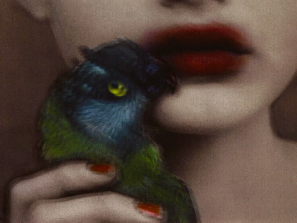 Sarah Moon, La Bouche Perdue, 2000