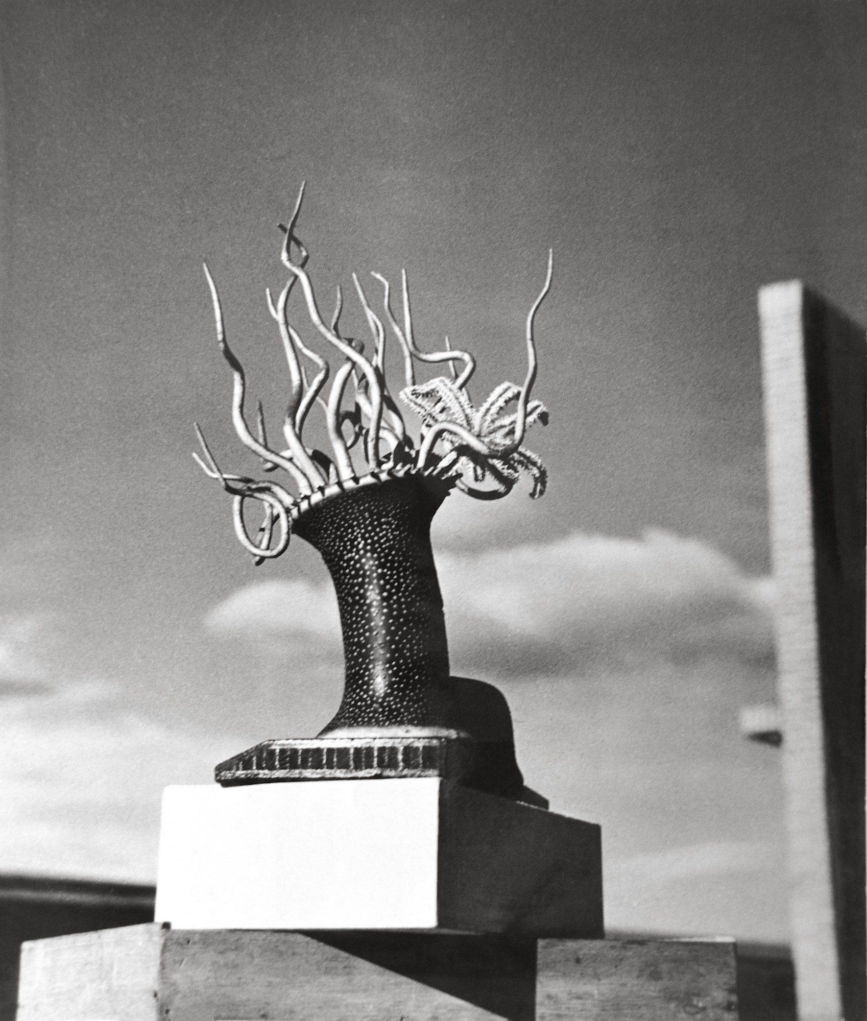 Kametaro Kawasaki, 聖火「オリンピックをのぞんで」(Sacred Flame [Praying for the Olympics] ), 1935