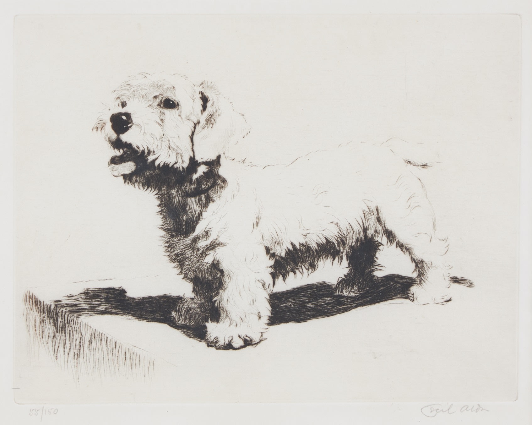 Cecil Charles Windsor Aldin, A Sealyham Terrier