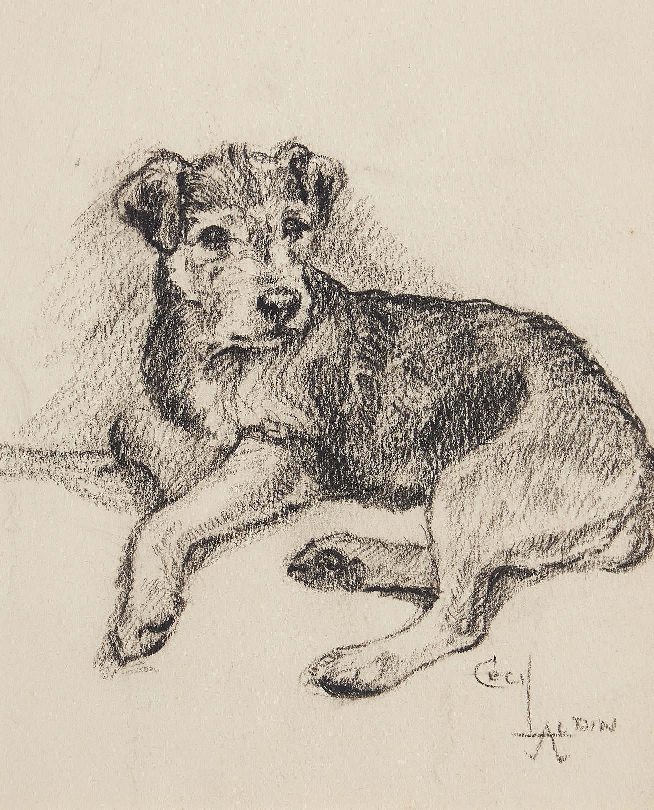Cecil Charles Windsor Aldin, Terrier