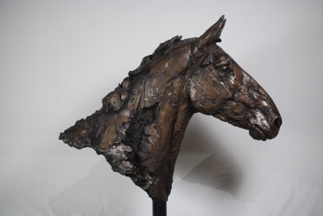 Holly Hickmore, Sports Horse