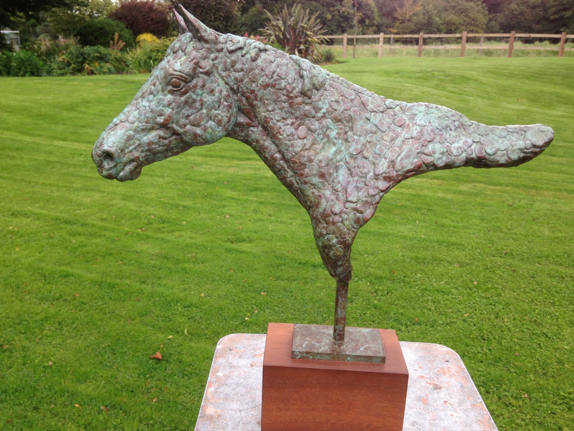 William Newton, Horse head