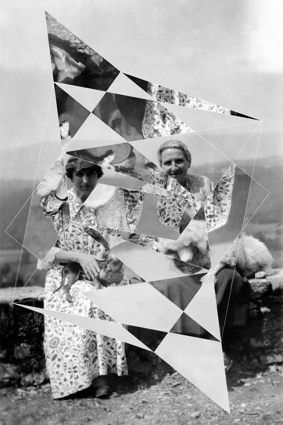 Andrea Geyer, Constellations (Alice B. Toklas and Gertrude Stein with Pepe and Basket), 2018, Hand-cut archival print on rag paper, 98.7 x 66 cm, 38 7/8 x 26 in, Framed: 101.2 x 68.5 cm, 39 7/8 x 27 in